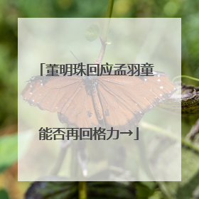 董明珠回应孟羽童能否再回格力→