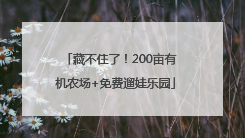 藏不住了！200亩有机农场+免费遛娃乐园