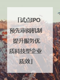 试点IPO预先审阅机制 提升服务优质科技型企业质效