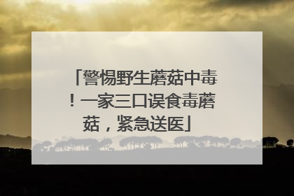 警惕野生蘑菇中毒！一家三口误食毒蘑菇，紧急送医