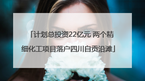 计划总投资22亿元 两个精细化工项目落户四川自贡沿滩