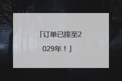订单已排至2029年！