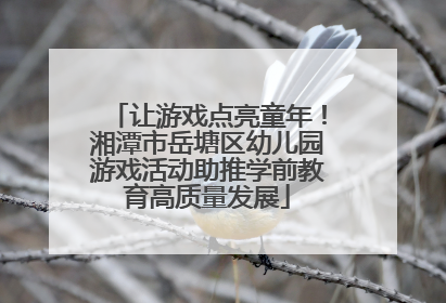让游戏点亮童年！湘潭市岳塘区幼儿园游戏活动助推学前教育高质量发展