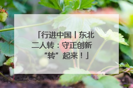 行进中国丨东北二人转：守正创新“转”起来！
