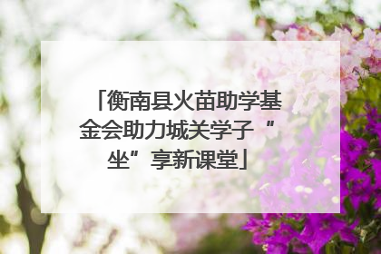 衡南县火苗助学基金会助力城关学子“坐”享新课堂