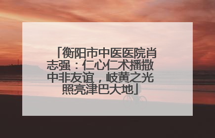 衡阳市中医医院肖志强：仁心仁术播撒中非友谊，岐黄之光照亮津巴大地