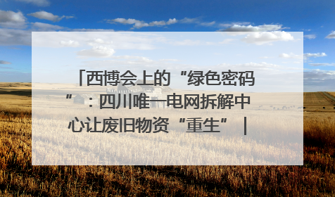 西博会上的“绿色密码”：四川唯一电网拆解中心让废旧物资“重生”｜西博寻“新”记