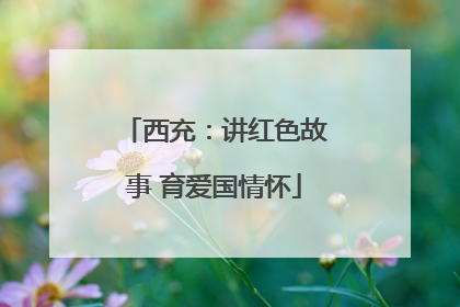 西充：讲红色故事 育爱国情怀