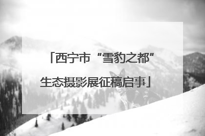 西宁市“雪豹之都”生态摄影展征稿启事