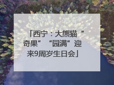 西宁：大熊猫“奇果”“园满”迎来9周岁生日会
