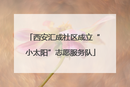 西安汇成社区成立“小太阳”志愿服务队