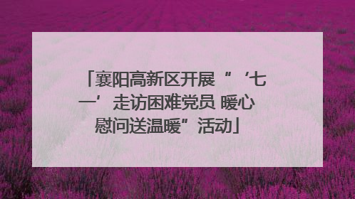 襄阳高新区开展“‘七一’走访困难党员 暖心慰问送温暖”活动