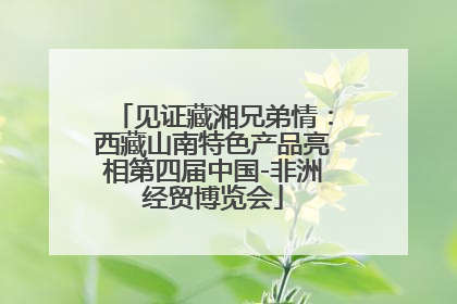 见证藏湘兄弟情：西藏山南特色产品亮相第四届中国-非洲经贸博览会