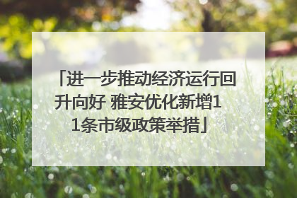 进一步推动经济运行回升向好 雅安优化新增11条市级政策举措