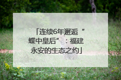 连续6年邂逅“蝶中皇后”：福建永安的生态之约