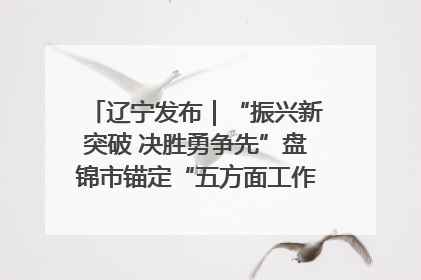 辽宁发布｜“振兴新突破 决胜勇争先”盘锦市锚定“五方面工作”力争全年地区生产总值增长5.5%左右