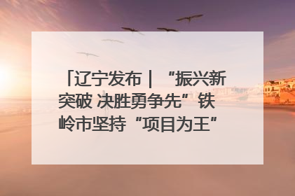 辽宁发布｜“振兴新突破 决胜勇争先”铁岭市坚持“项目为王”推进经济高质量发展
