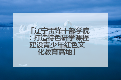 辽宁雷锋干部学院：打造特色研学课程 建设青少年红色文化教育高地