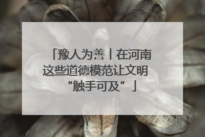 豫人为善丨在河南这些道德模范让文明“触手可及”