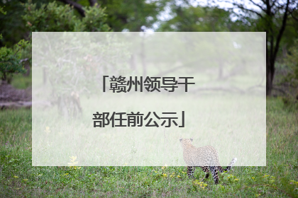 赣州领导干部任前公示