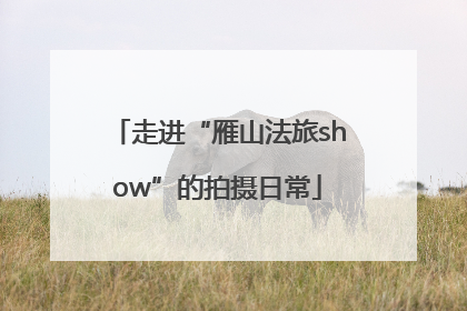 走进“雁山法旅show”的拍摄日常