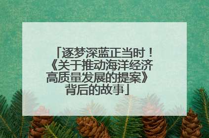 逐梦深蓝正当时！《关于推动海洋经济高质量发展的提案》背后的故事