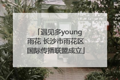遇见多young雨花 长沙市雨花区国际传播联盟成立