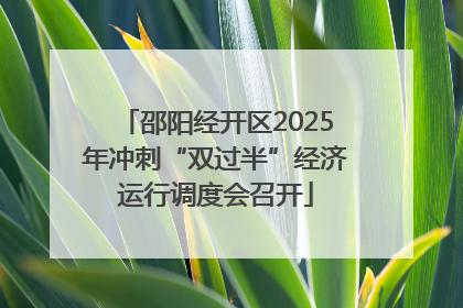 邵阳经开区2025年冲刺“双过半”经济运行调度会召开