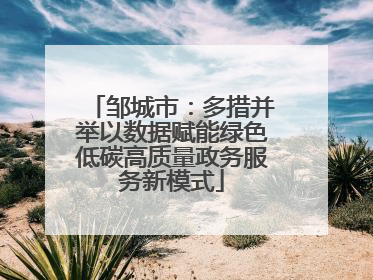 邹城市：多措并举以数据赋能绿色低碳高质量政务服务新模式