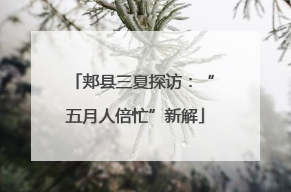 郏县三夏探访：“五月人倍忙”新解