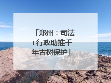 郑州：司法+行政助推千年古树保护