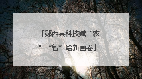 郧西县科技赋“农”“智”绘新画卷