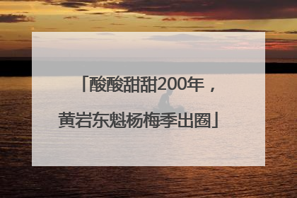 酸酸甜甜200年，黄岩东魁杨梅季出圈