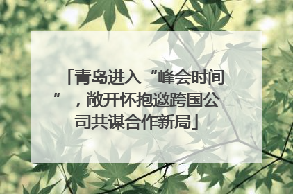 青岛进入“峰会时间”，敞开怀抱邀跨国公司共谋合作新局