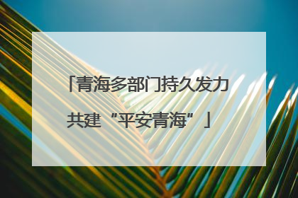 青海多部门持久发力共建“平安青海”