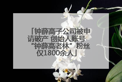 钟薛高子公司被申请破产 创始人账号“钟薛高老林”粉丝仅1800余人