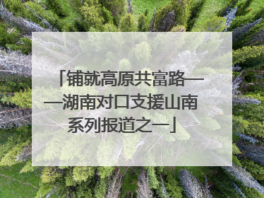 铺就高原共富路——湖南对口支援山南系列报道之一