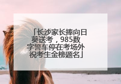 长沙家长捧向日葵送考，985数字警车停在考场外祝考生金榜题名