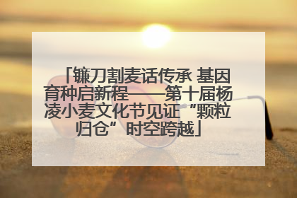 镰刀割麦话传承 基因育种启新程——第十届杨凌小麦文化节见证“颗粒归仓”时空跨越