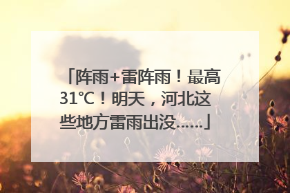 阵雨+雷阵雨！最高31℃！明天，河北这些地方雷雨出没……