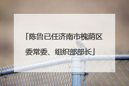 陈鲁已任济南市槐荫区委常委、组织部部长