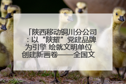 陕西移动铜川分公司：以“陕耀”党建品牌为引擎 绘就文明单位创建新画卷——全国文明单位创建纪实