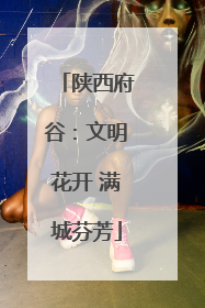 陕西府谷：文明花开 满城芬芳