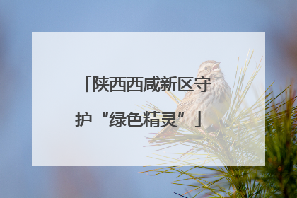 陕西西咸新区守护“绿色精灵”