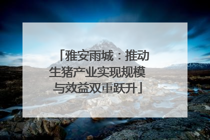 雅安雨城：推动生猪产业实现规模与效益双重跃升