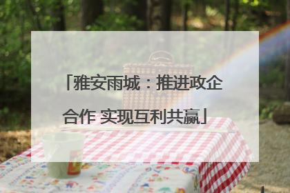 雅安雨城：推进政企合作 实现互利共赢