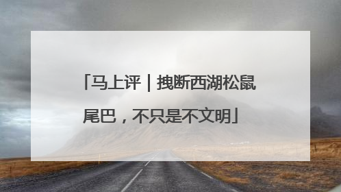 马上评｜拽断西湖松鼠尾巴，不只是不文明
