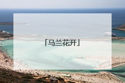 马兰花开