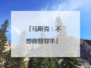 马斯克：不想做替罪羊