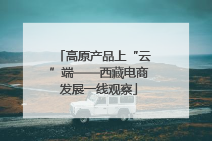 高原产品上“云”端——西藏电商发展一线观察